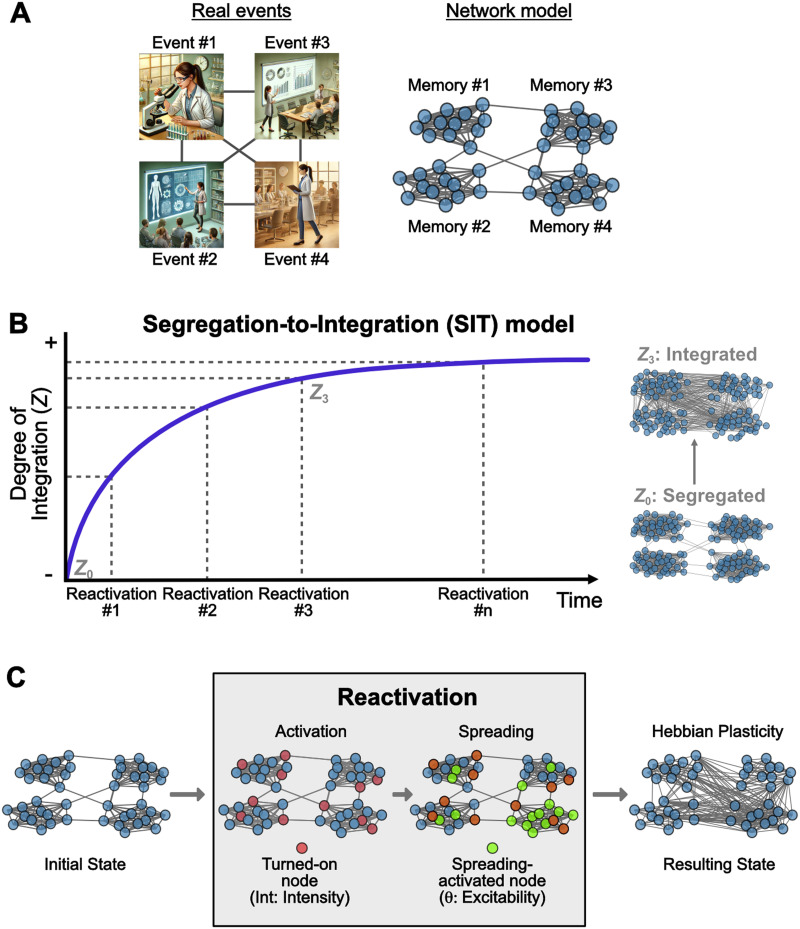 Segregation-to-integration transformation model of memory evolution.
