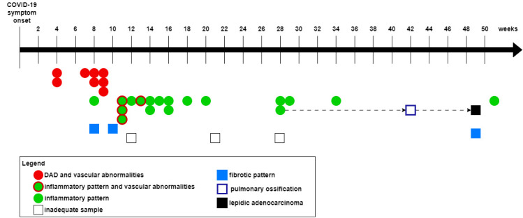 Lung long distance: histopathological changes in lung tissue after COVID-19 pneumonia.