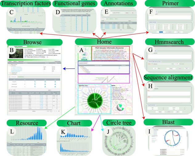 plantGIR: a genomic database of plants.
