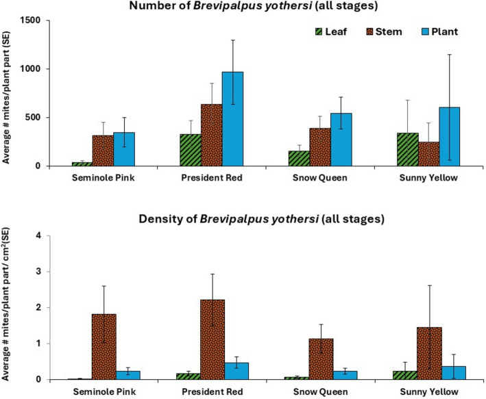 Density and distribution of the flat mite (Brevipalpus yothersi) (Acari: Tenuipalpidae) on four Hibiscus varieties: do leaves tell the full story?