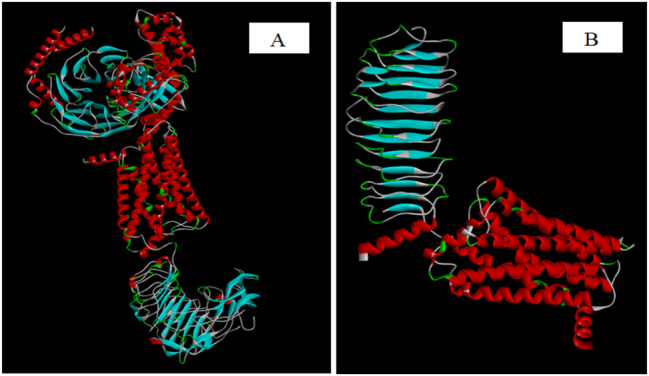 Exploring the therapeutic potential of <i>Asparagus africanus</i> in polycystic ovarian syndrome: a computational analysis.