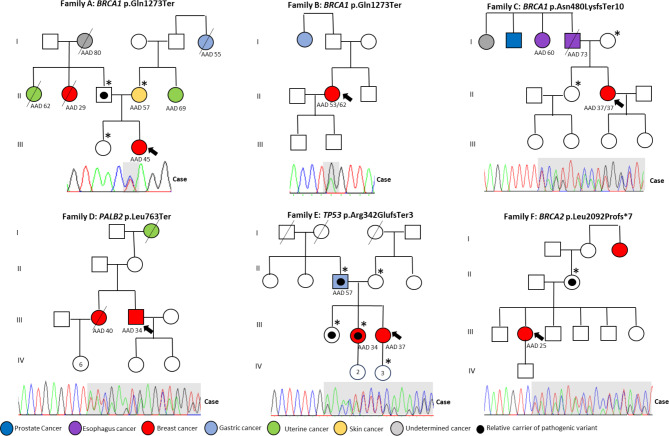 Regional Hereditary Cancer Program in Chile: A scalable model of genetic counseling and molecular diagnosis to improve clinical outcomes for patients with hereditary cancer across Latin America.