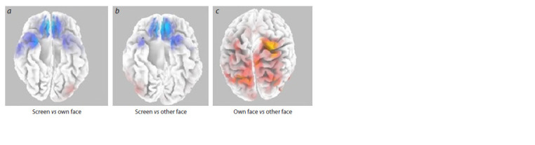Comparison of brain activity metrics in Chinese and Russian students while perceiving information referencing self or others.