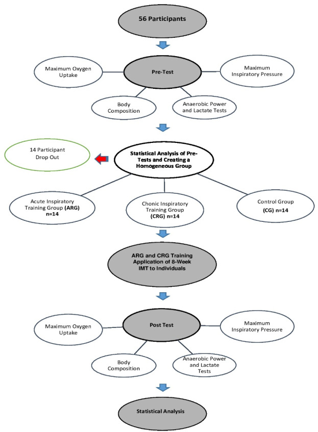 Effects of Threshold Pressure Loading Exercises Applied to Inspiratory Muscles in Taekwondo Athletes on the Concentration and Utilization of Lactate.