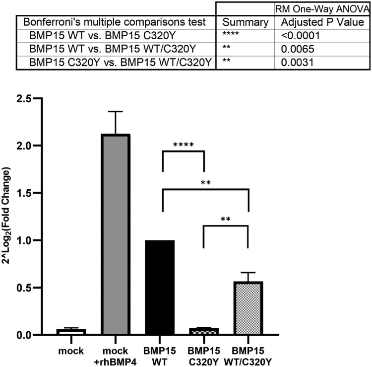 A Novel Homozygous <i>BMP15</i> Mutation Causes Ovarian Dysgenesis and Primary Amenorrhea.