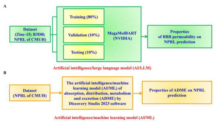 Artificial intelligence-driven prediction and validation of blood-brain barrier permeability and absorption, distribution, metabolism, excretion profiles in natural product research laboratory compounds.
