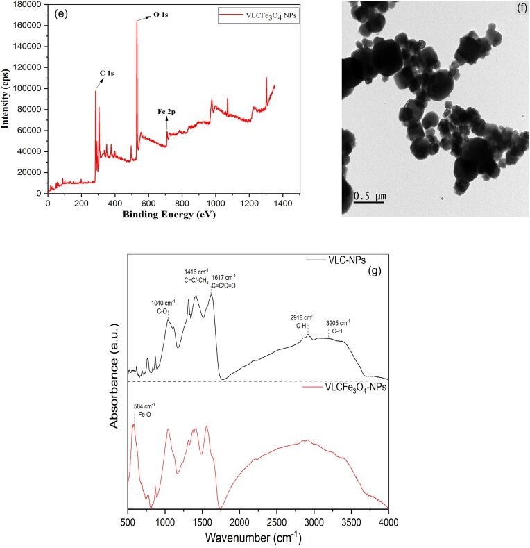 Novel supplementation of Fe3O4-doped green carbonized nanoparticles on hydrogenases genes and microbial biodiversity for enhancing biohydrogen yield in dark fermentation microbial electrohydrogenesis cells.