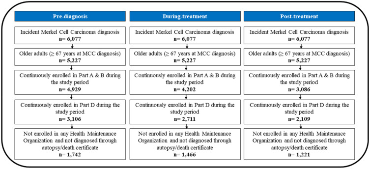 Predictive and Interpretable Machine Learning of Economic Burden: The Role of Chronic Conditions Among Elderly Patients with Incident Primary Merkel Cell Carcinoma (MCC).