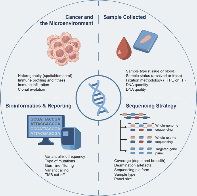 The challenges and opportunities of applying tumour mutational burden analysis to precision cancer medicine.