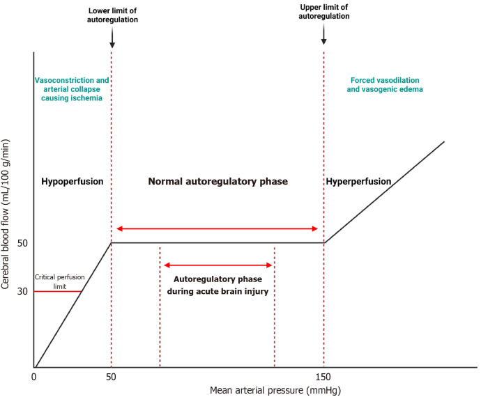 Regional dynamic cerebral autoregulation across anterior and posterior circulatory territories: A detailed exploration and its clinical implications.