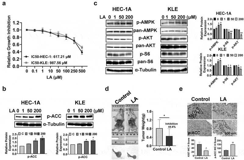 Linoleic acid exhibits anti-proliferative and anti-invasive activities in endometrial cancer cells and a transgenic model of endometrial cancer.