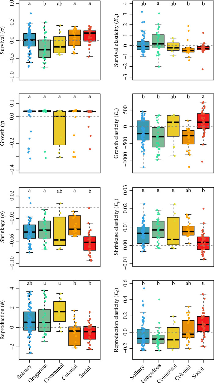 More social species live longer, have longer generation times and longer reproductive windows.