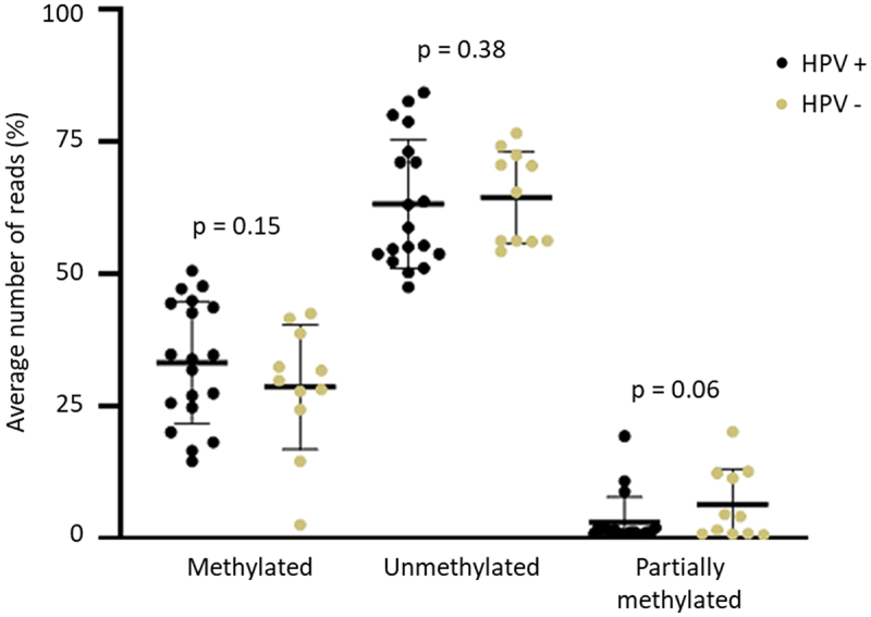 Hypomethylation at H19DMR in penile squamous cell carcinoma is not related to HPV infection.
