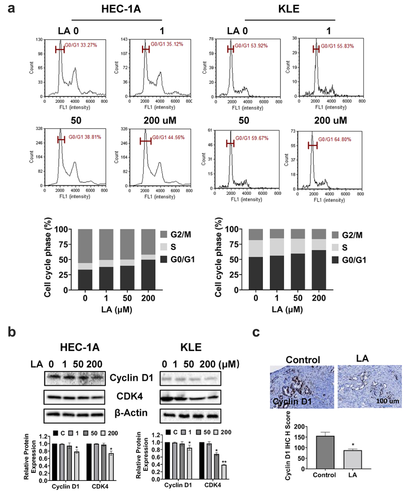 Linoleic acid exhibits anti-proliferative and anti-invasive activities in endometrial cancer cells and a transgenic model of endometrial cancer.