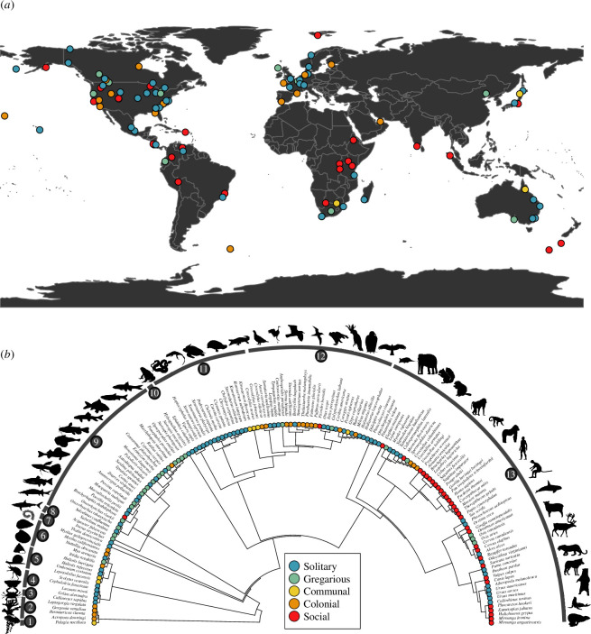 More social species live longer, have longer generation times and longer reproductive windows.