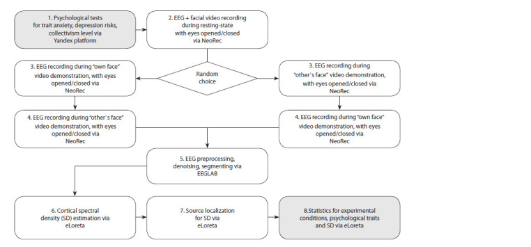 Comparison of brain activity metrics in Chinese and Russian students while perceiving information referencing self or others.