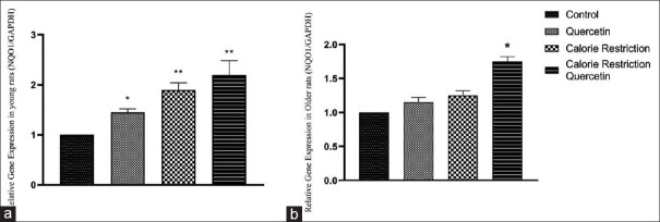 Collaborative Effects of Caloric Restriction and Quercetin on Age-related Oxidative Stress Reduction through NQO1/Sirt1 Gene Regulation.