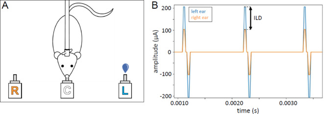 Interaural level difference sensitivity in neonatally deafened rats fitted with bilateral cochlear implants.