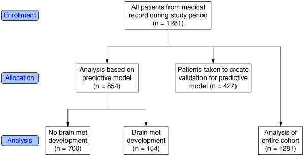 Development of brain metastases in non-small-cell lung cancer: high-risk features.