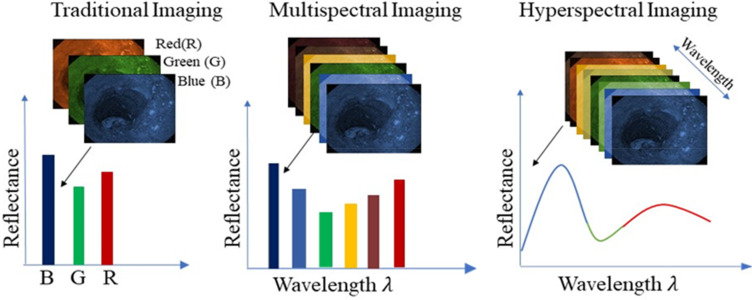 Advancing hyperspectral imaging and machine learning tools toward clinical adoption in tissue diagnostics: A comprehensive review.