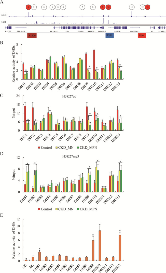 The Long-Range Chromosomal Interaction Controlling Klotho Gene Expression in Human Chronic Kidney Disease.