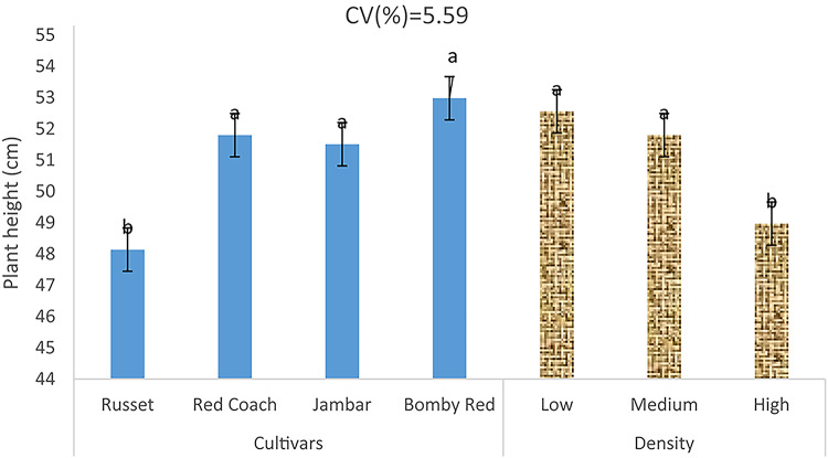 Influence of cultivar and plant density on the growth, bulb yield and quality traits of onion (Allium cepa L.).