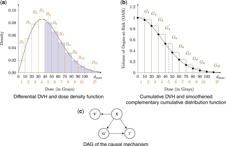 A marginal structural model for normal tissue complication probability.