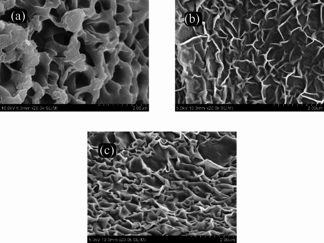 Design a variety of cation exchange hydrogel resins using gamma irradiation to remove hard/scale metal cations from saline water under different circumstances.
