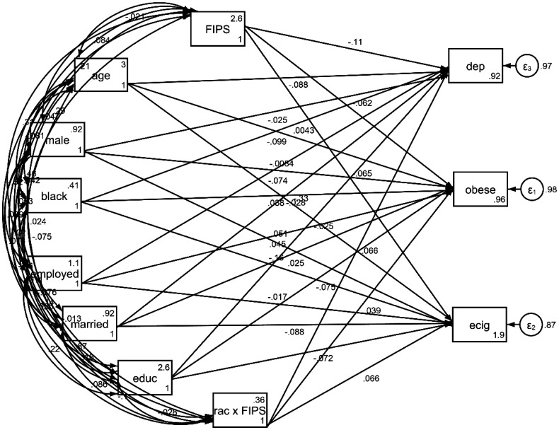 Differential protective effects of Family Income-to-Poverty-Ratio on electronic cigarette, depression, and obesity of Black and White Americans.