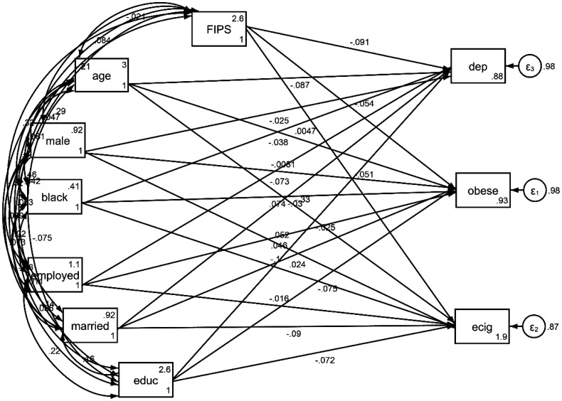 Differential protective effects of Family Income-to-Poverty-Ratio on electronic cigarette, depression, and obesity of Black and White Americans.