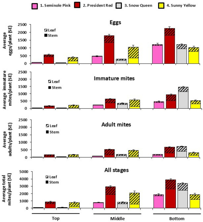Density and distribution of the flat mite (Brevipalpus yothersi) (Acari: Tenuipalpidae) on four Hibiscus varieties: do leaves tell the full story?