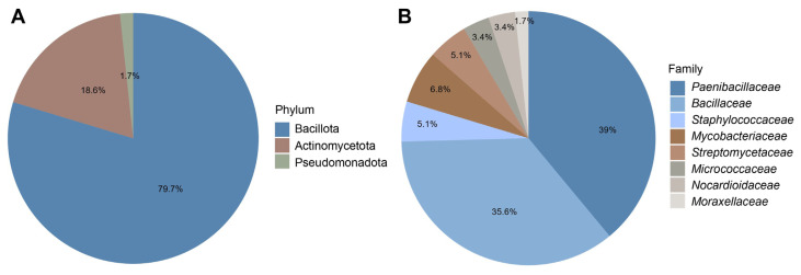 Characterization of Tomato Seed Endophytic Bacteria as Growth Promoters and Potential Biocontrol Agents.
