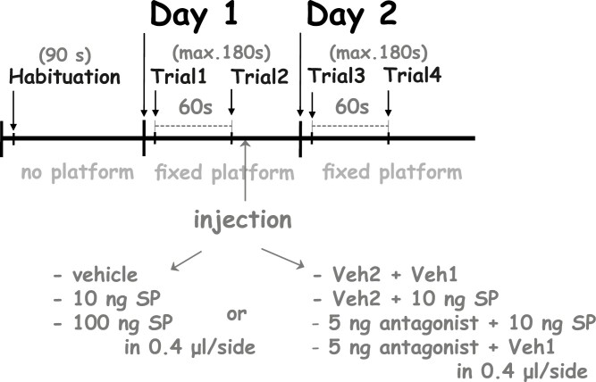 The role of pallidal substance P and neurokinin receptors in the consolidation of spatial memory of rats.