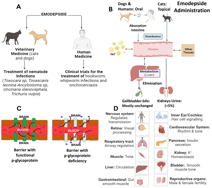 Emodepside: the anthelmintic's mode of action and toxicity.