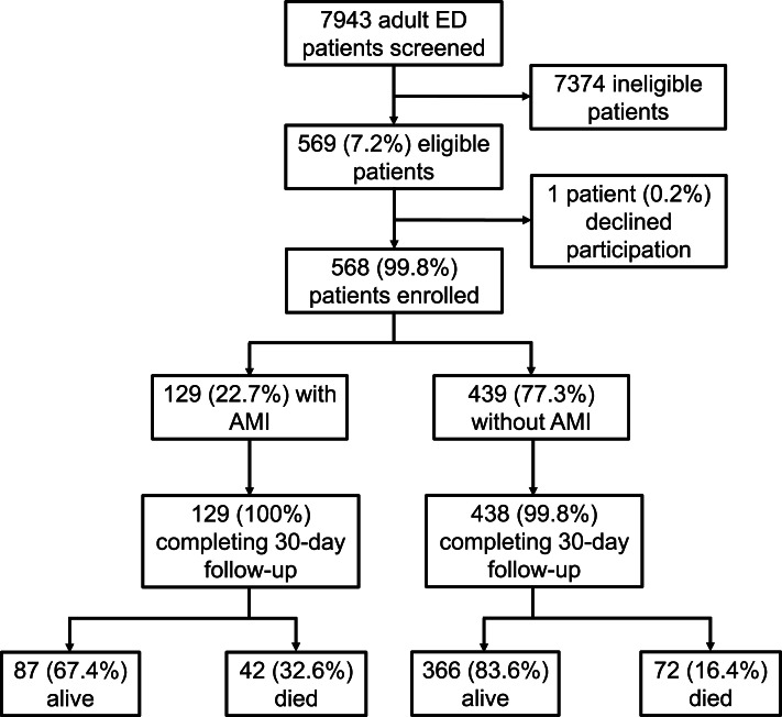 Acute coronary syndrome prevalence and outcomes in a Tanzanian emergency department: Results from a prospective surveillance study