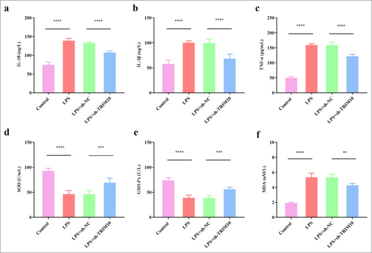 A mechanism study of tripartite motif 10 modulating septic cardiomyopathy.