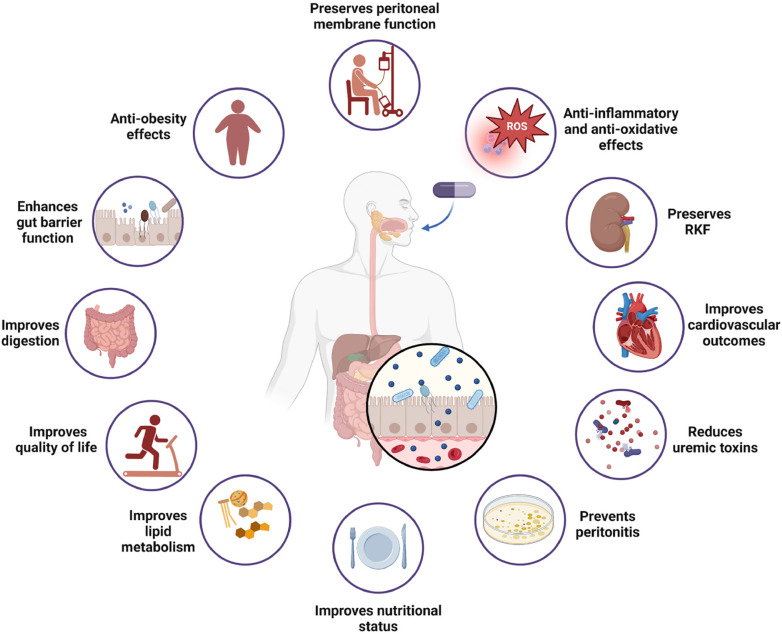 Probiotic interventions in peritoneal dialysis: A review of underlying mechanisms and therapeutic potentials.
