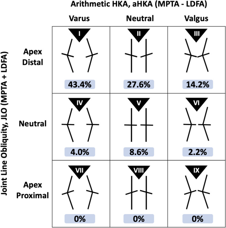 The distribution of Coronal Plane Alignment of the Knee (CPAK) phenotypes in the Malaysian population and their correlation with demographic variables.
