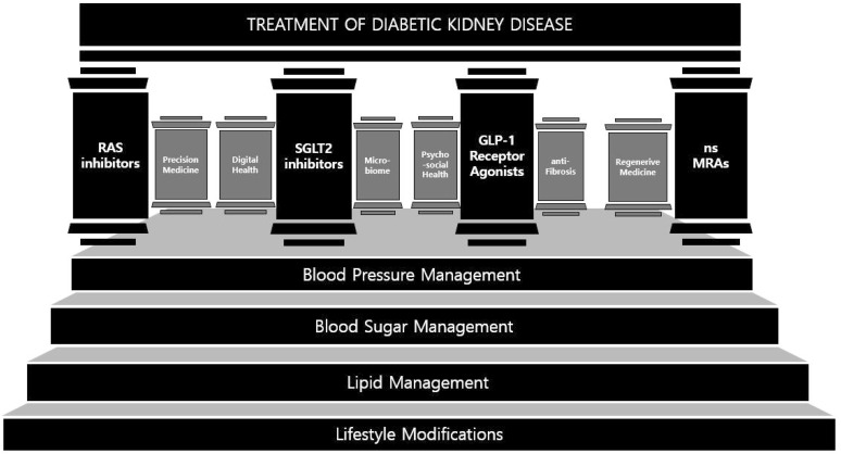 A New Era in Diabetic Kidney Disease Treatment: The Four Pillars and Strategies to Build Beyond.