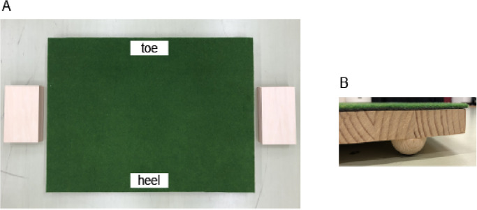 Putting performance bias to the front-lower side of the hole on steep slopes: Differences in strategies and movements between professional and amateur golfers.