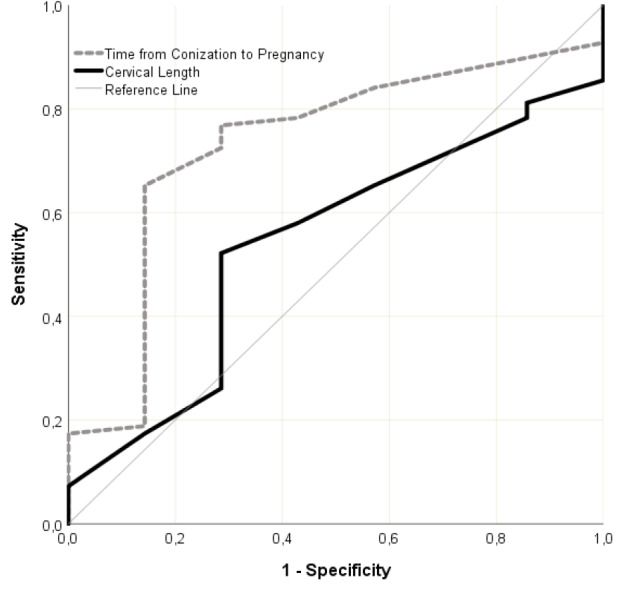 Factors affecting obstetric outcomes in patients who underwent cold-knife and loop electrosurgical excision procedure conization due to cervical intraepithelial neoplasia 2 or cervical intraepithelial neoplasia 3