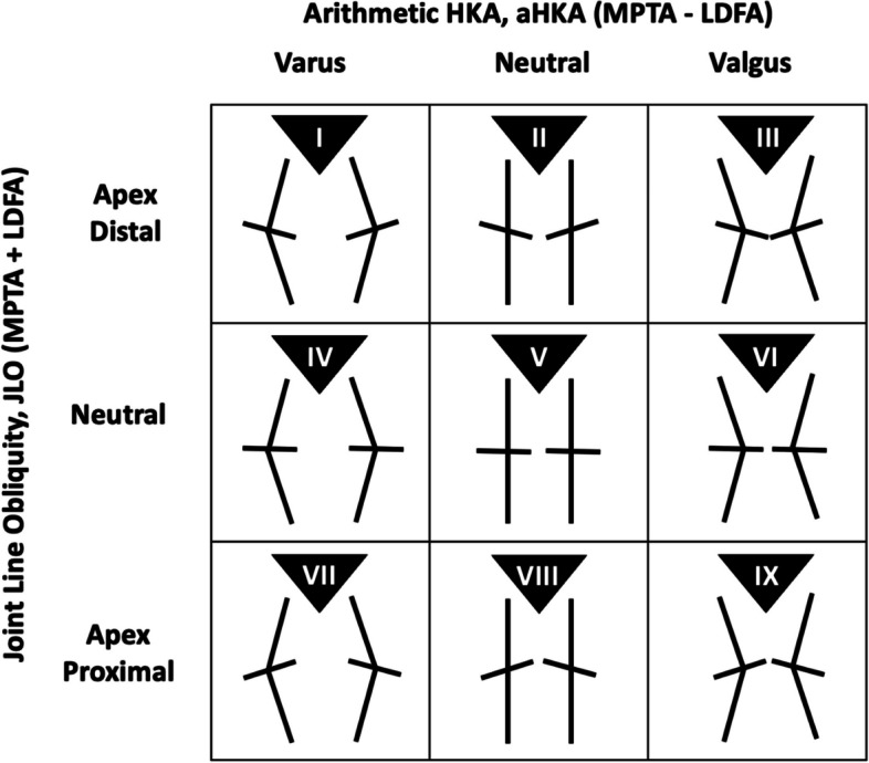 The distribution of Coronal Plane Alignment of the Knee (CPAK) phenotypes in the Malaysian population and their correlation with demographic variables.
