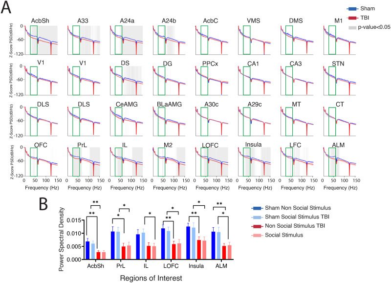 Gamma frequency connectivity in frontostriatal networks associated with social preference is reduced with traumatic brain injury.