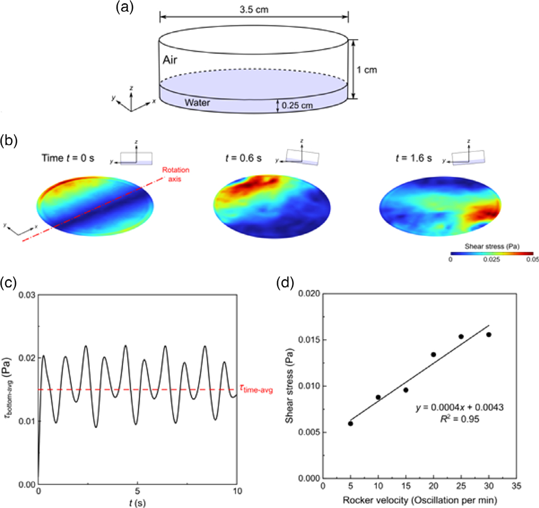 Effects of fluid shear stress on oral biofilm formation and composition and the transcriptional response of Streptococcus gordonii.