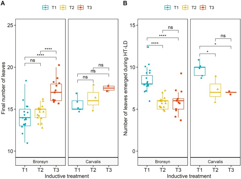 Experimental analysis of genetic and environmental interactions on leaf elongation and reproductive development in <i>Lolium perenne</i>.