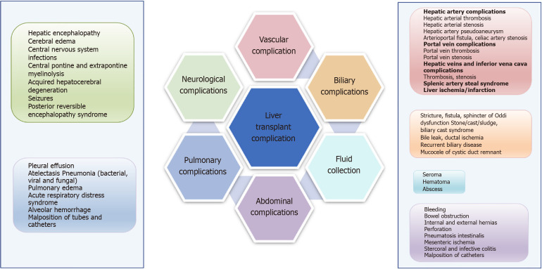 Thrombotic complications post liver transplantation: Etiology and management.