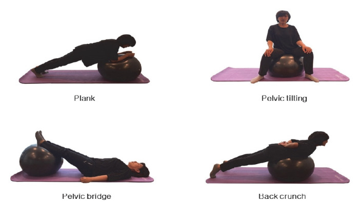 Effect of an 8-week lumbar stabilization and lower extremity strength exercise on lumbar pain and physical function in middle-aged women with chronic back pain.