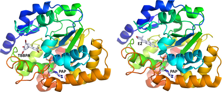 Cytosolic sulfotransferases in endocrine disruption.