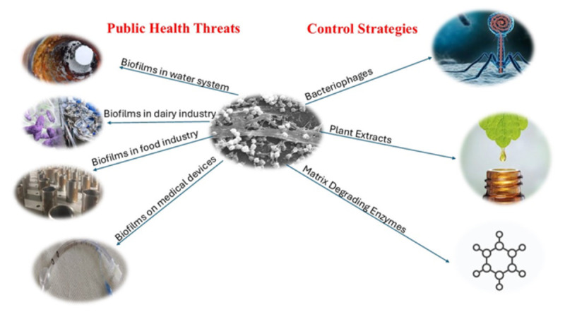Public Health Threats Posed by Biofilms and Innovative Strategies for their Control.