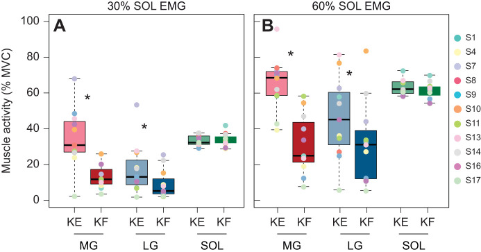 Effects of altered contractile environment on muscle shape change in the human triceps surae.